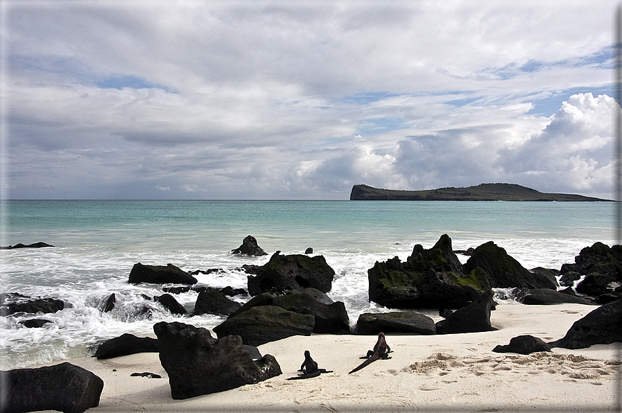 foto Isole Galapagos